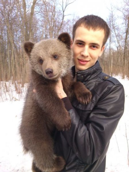 Медведи на улицах России