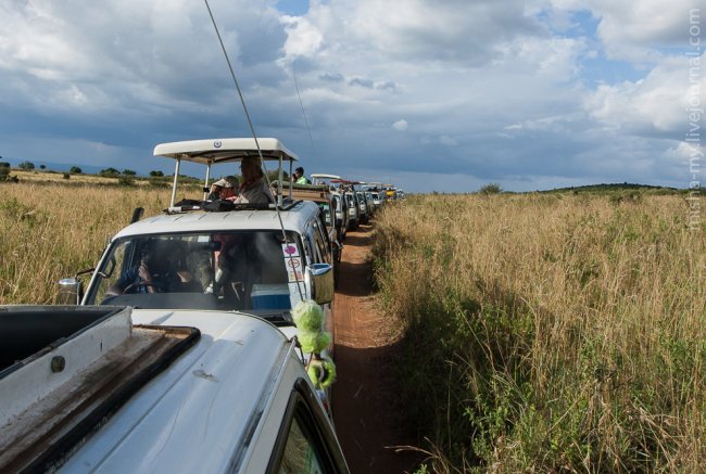 Масаи-Мара — самый известный заповедник в Кении
