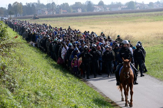 Мигранты стройною толпой…