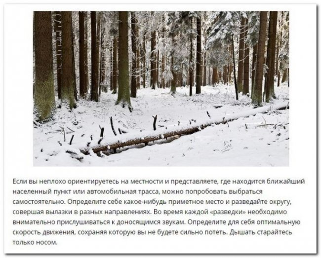 Советы по выживанию в зимнем лесу