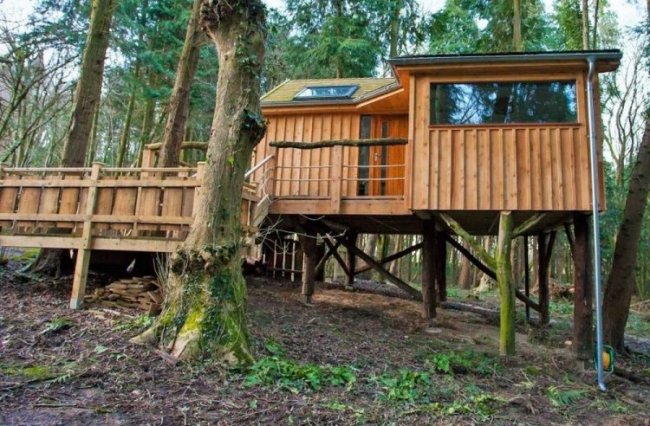 Уютный домик-скворечник в английском лесу