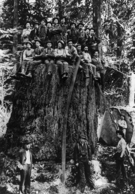 Американские лесорубы конца XIX - начала XX века