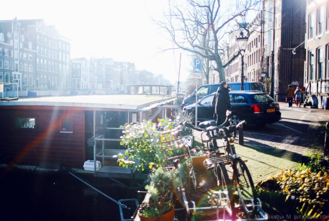 Амстердам: приют для кошек на барже