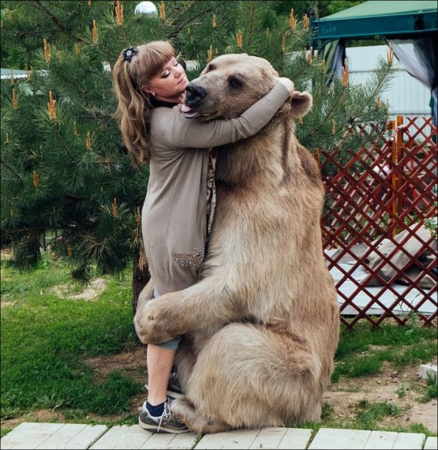 Медведь Степан 23 года живет в российской семье