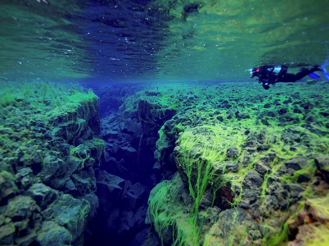 Самые интересные подводные достопримечательности мира