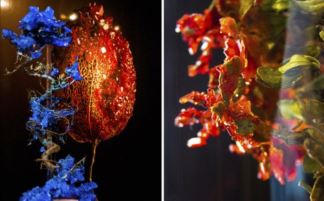 Органические и неорганические: 8 удивительных цветов, украшеных драгоценными камнями