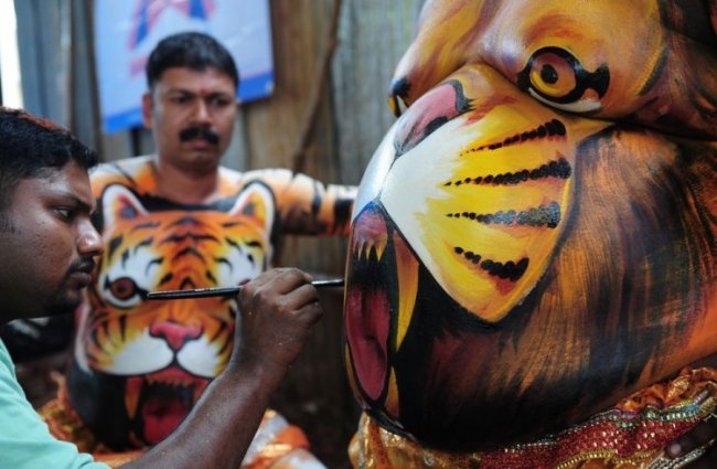 Танцы тигра в Индии