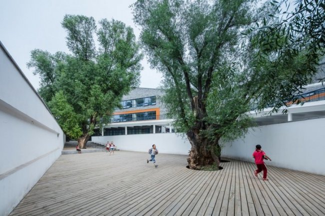 Современная школа в Китае