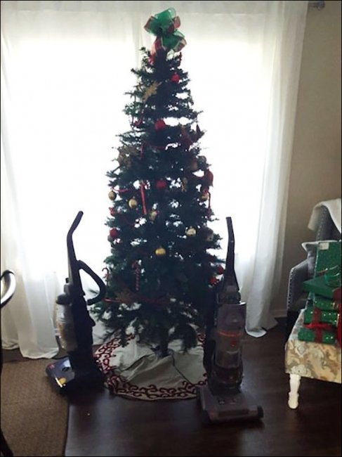 Как защитить новогоднюю елку от котов и собак