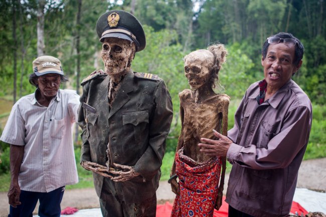 Зомбмленд в Индонезии