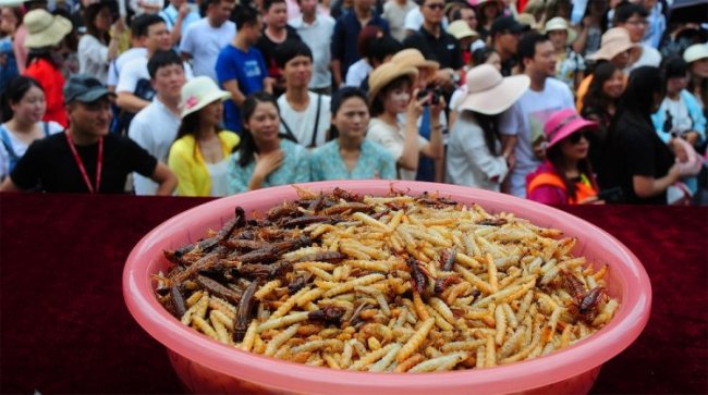 В Китае прошел конкурс по поеданию насекомых