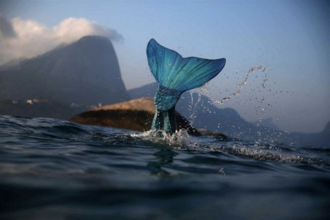 Бразильские русалки занимаются благотворительность