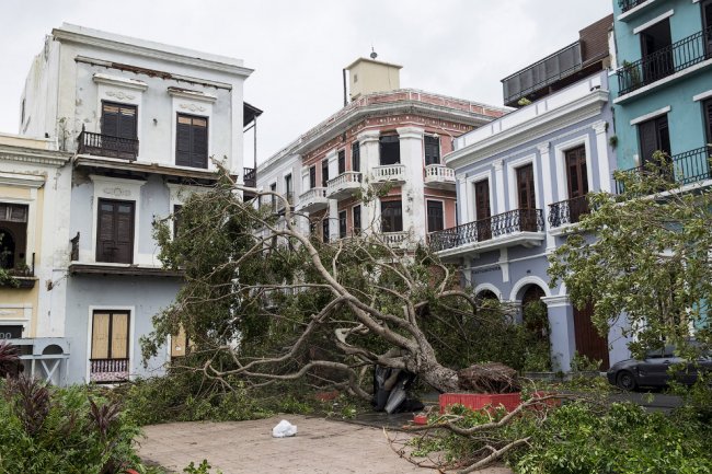 Последствия урагана «Мария» на Карибских островах