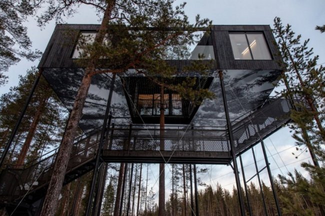 Классные апартаменты на дереве в Швеции