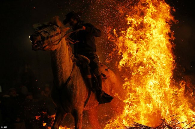 Огонь и лошади: День святого Антонио 2018