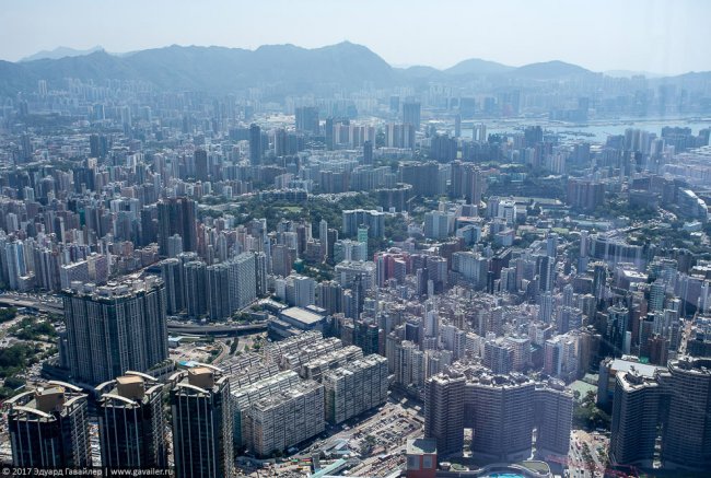 Виды Гонконга с полукилометрового небоскрёба