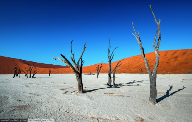 Пустыня Намиб. «Мертвое болото»