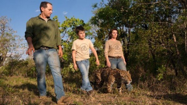 Тьяго Силвейра: история мальчика, который живет с ягуарами
