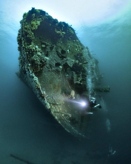 Захватывающие подводные снимки Алекса Доусона