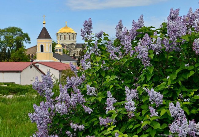 Цветущий Севастополь
