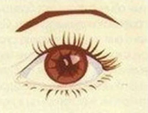 Тайны вашего характера: о чем расскажет форма ваших глаз