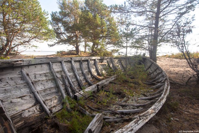Белое море и кладбище карбасов