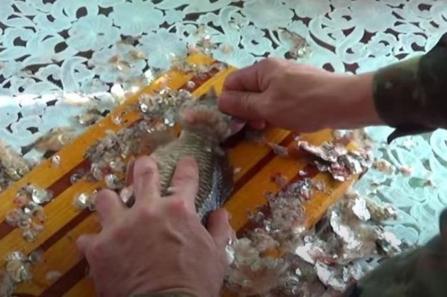 Простой способ почистить рыбу без ножа (5 фото)