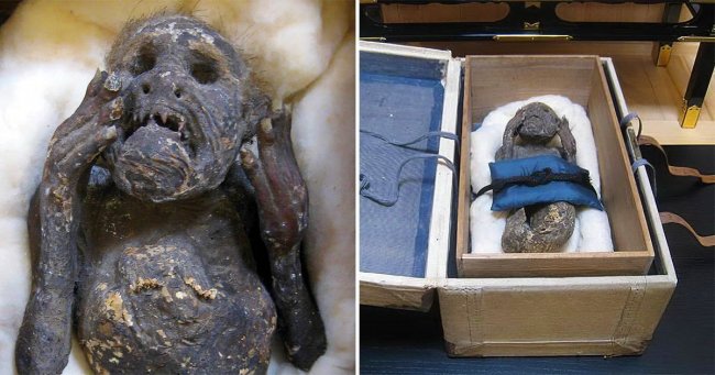 Ученые изучают мумию «русалки», найденную в XVIII веке в Японии