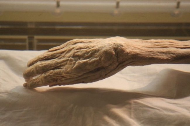 2200-летняя мумия, в чьих венах до сих пор есть кровь