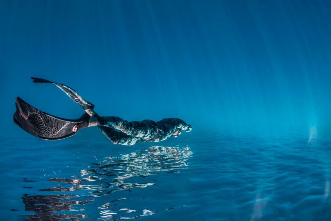 Лучшие фотографии из жизни океанов Ocean Photographer of the Year 2023. Часть 2