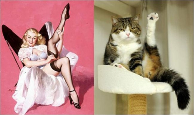 Коты и пин-ап девушки