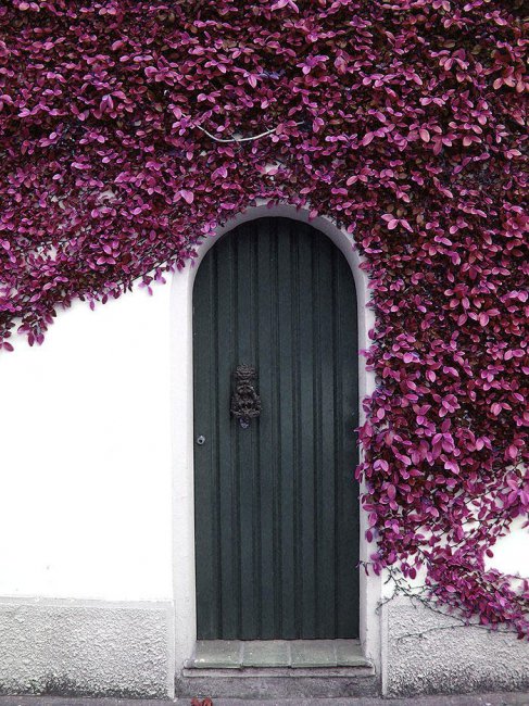 Удивительные входные двери, ведущие к счастью