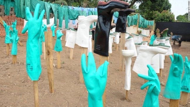 10 фактов про вирус Эбола, которые нужно узнать прямо сегодня