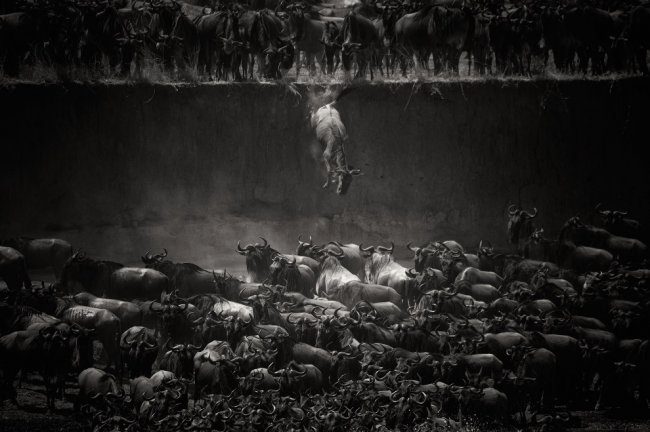 Победители конкурса фотографии National Geographic 2014