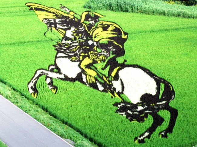 Рисовые поля в Японии
