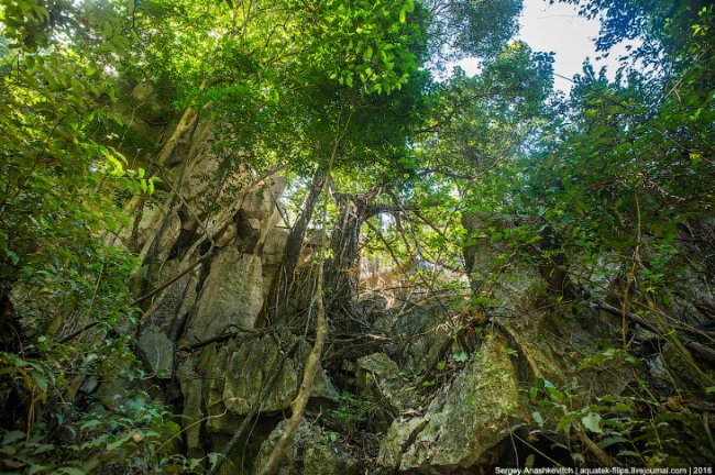 Это стоит увидеть своими глазами! Каменный лес Цинги