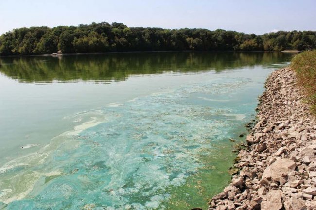 Острая проблема: самые загрязненные реки планеты