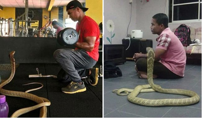 Парень из Таиланда женился на трехметровой змее