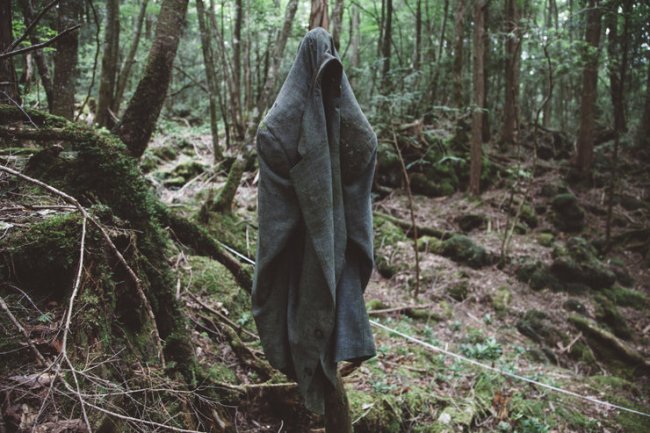 Самые мистические леса, в которых обитают привидения