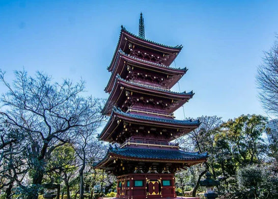 Храм Мэйдзи в Токио