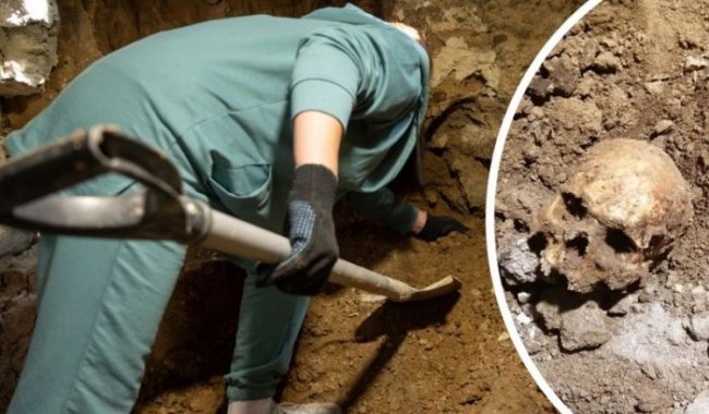 Девушка нашла человеческие кости в своем подвале. В полиции ей предложили копать дальше